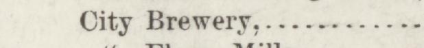 The line reading City Brewery in the 1884 atlas index