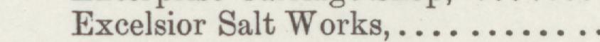 The line reading Excelsior Salt Works in the 1893 atlas index