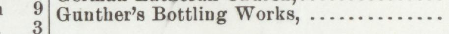 The line reading Gunther's Bottling Works in the 1904 atlas index