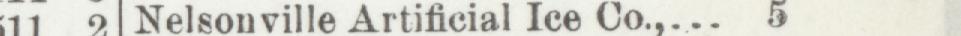 The line reading Nelsonville Artificial Ice Co in the 1900 atlas index