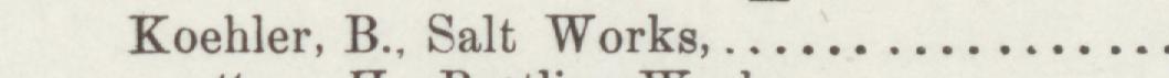 The line reading Roehler, B., Salt Works in the 1893 atlas index