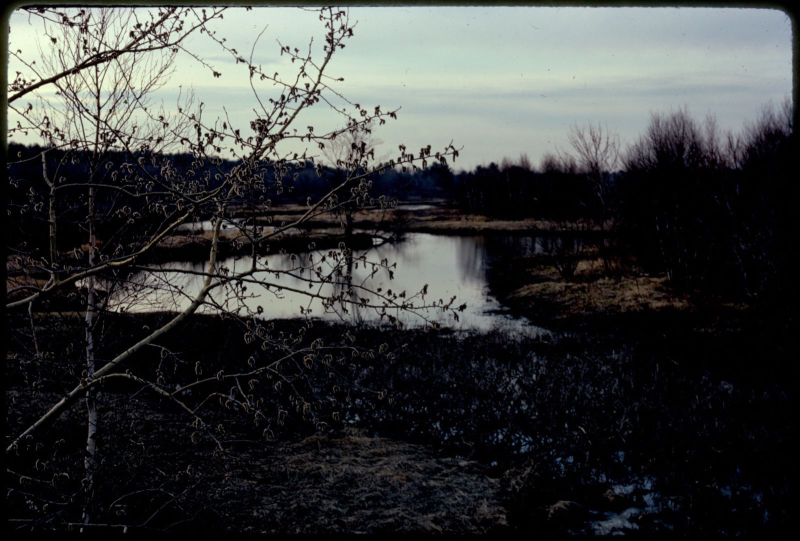 On Route 109, Millis-Medfield border, easterly, Boston Public Library - undated