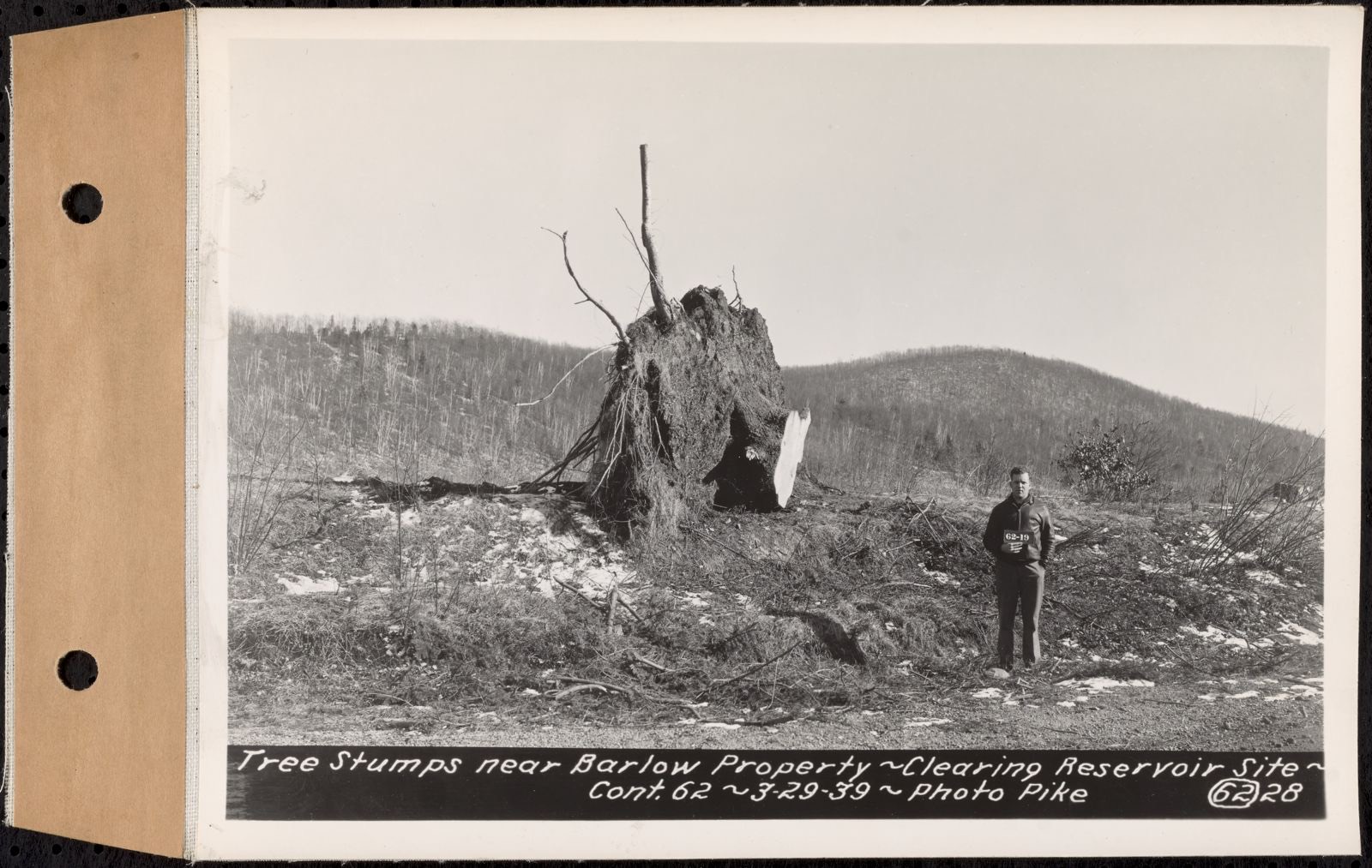 Contract No. 62, Clearing Lower Middle and East Branches, Quabbin Reservoir, Ware, New Salem, Petersham and Hardwick, tree stumps near Barlow property, Enfield and Ware, Mass., Mar. 29, 1939, Massachusetts Archives - undated
