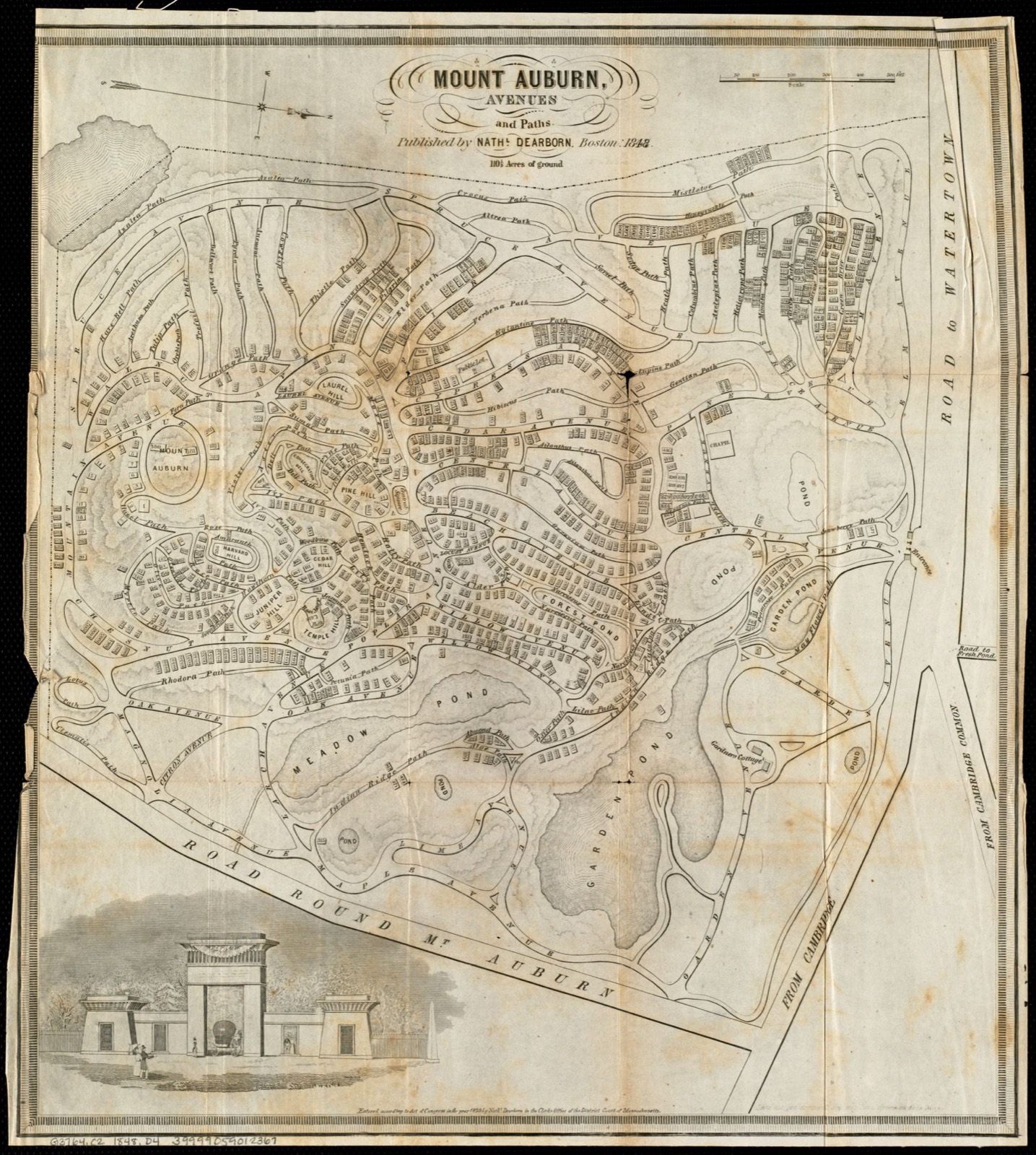 Mount Auburn, avenues and paths, Boston Public Library - undated
