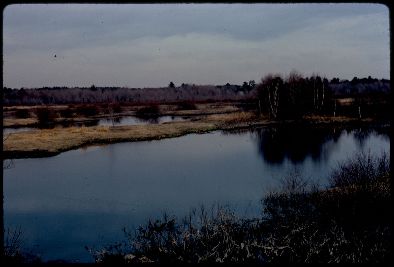On Route 109, Millis-Medfield border, easterly, Boston Public Library - undated