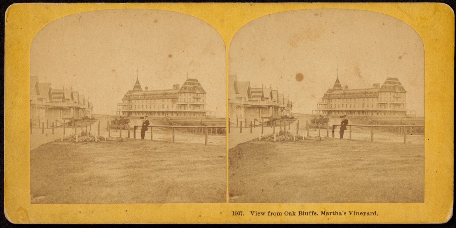 View from Oak Bluffs. Martha's Vineyard, Boston Public Library - undated