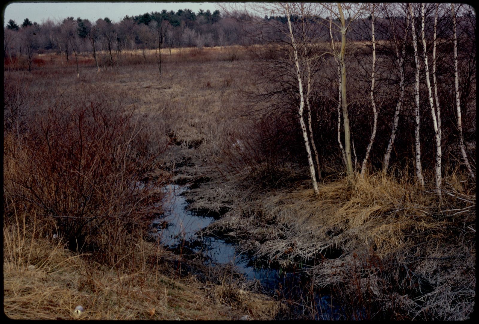 On Route 109, Millis-Medfield border, so. east, Boston Public Library - undated