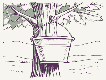 Decorative drawing: a sap bucket hanging on a maple trunk. Not a photograph of this place.