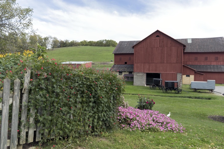 Garden and barn at Yoder's Amish Home, an authentic Amish farm that began accepting visitors in 1983 near Walnut Creek in central Ohio, along the "Amish Country Byway"