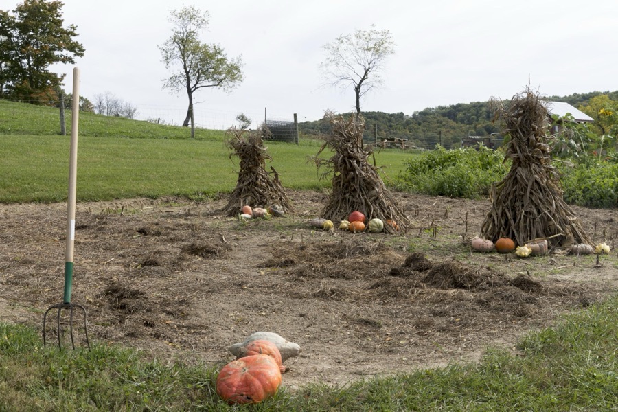 Gourds, pumpkins (which are a form of gourds), and twig stacks at Yoder's Amish Home, an authentic Amish farm that began accepting visitors in 1983 near Walnut Creek in central Ohio, along the "Amish Country Byway"