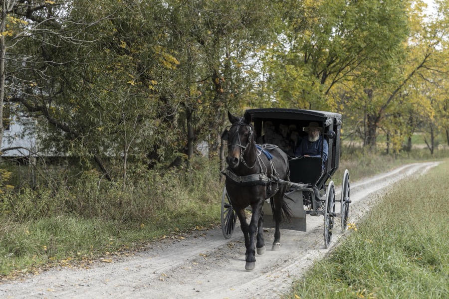 A horse-drawn Amish buggy journeys down a country road at Yoder's Amish Home, an authentic Amish farm that began accepting visitors in 1983 near Walnut Creek in central Ohio, along the "Amish Country Byway"