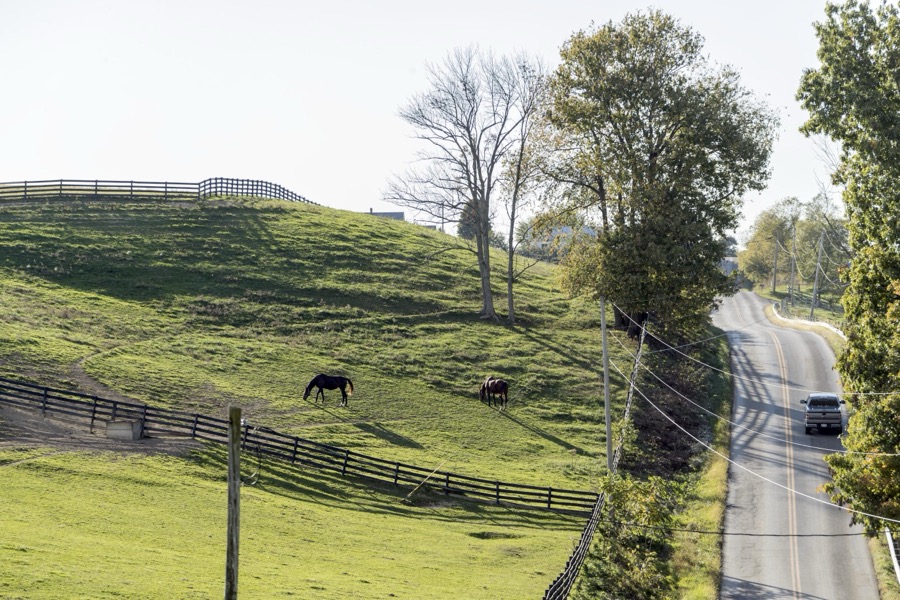 Rolling hills near Saltillo in central Ohio's Perry County