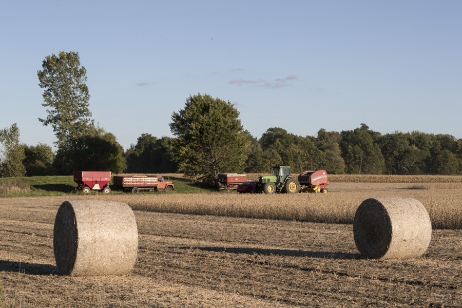 Autumn soybean-harvesting time in Crawford County, Ohio, near Bucyrus
