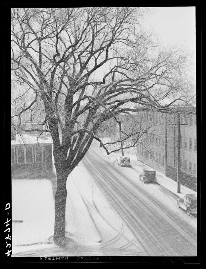 Street in Brockton, Massachusetts