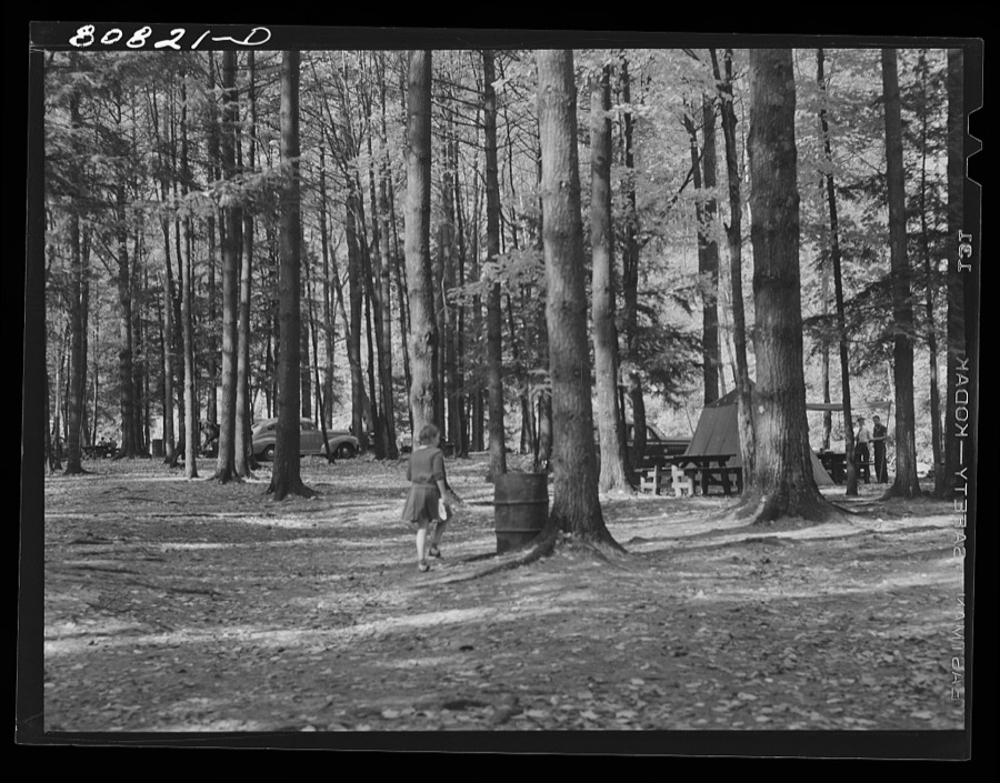 Picnic park created by CCC (Civilian Conservation Corps). Savoy Mountain State Park, Massachusetts