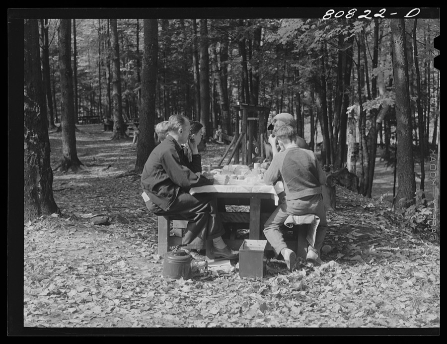 Picnic park created by CCC (Civilian Conservation Corps). Savoy Mountain State Park, Massachusetts