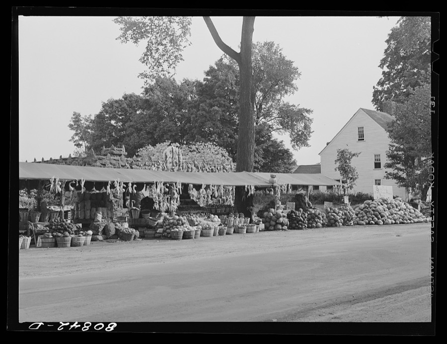 Wayside harvest stand near Greenfield, Massachusetts