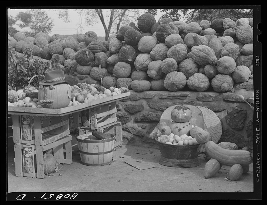 Greenfield (vicinity), Connecticut. Wayside harvest market