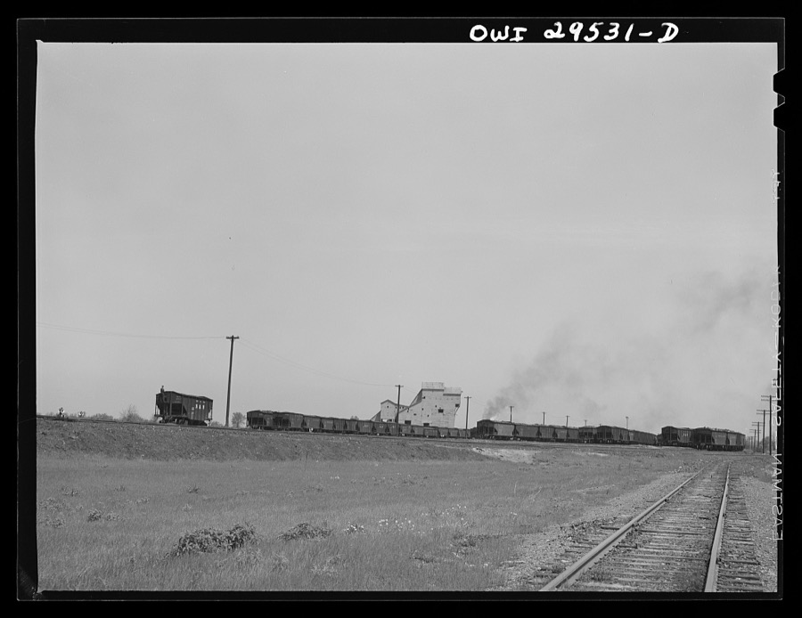 Sandusky, Ohio. Trains being made up in the classification yard to go to the Pennsylvania Railroad docks for loading into lake freighters