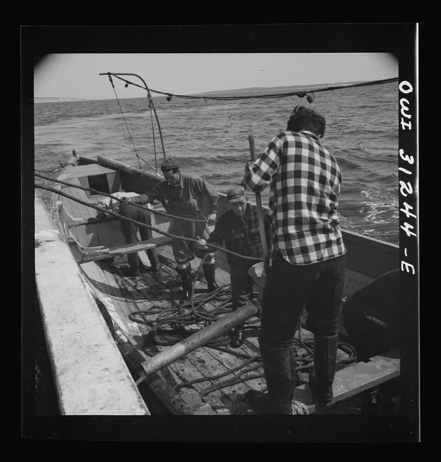 On board the fleshing boat Alden, out of Gloucester, Massachusetts. Part of the seining crew adjusting the seining nets to the seining boat on the first morning out. Franasco Parisi checking the small motor. This operation is performed at ten knots per hour