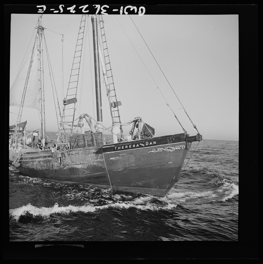 Gloucester, Massachusetts. Schooner "Theresa and Dan"