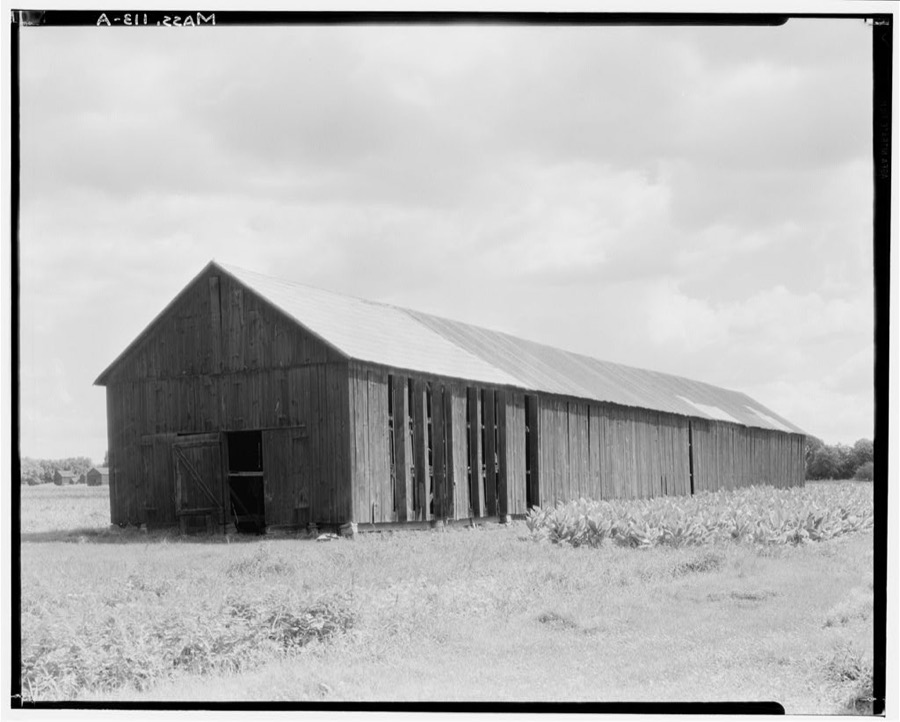 Tobacco Barns, Old Hadley Street, Hadley, Hampshire County, MA
