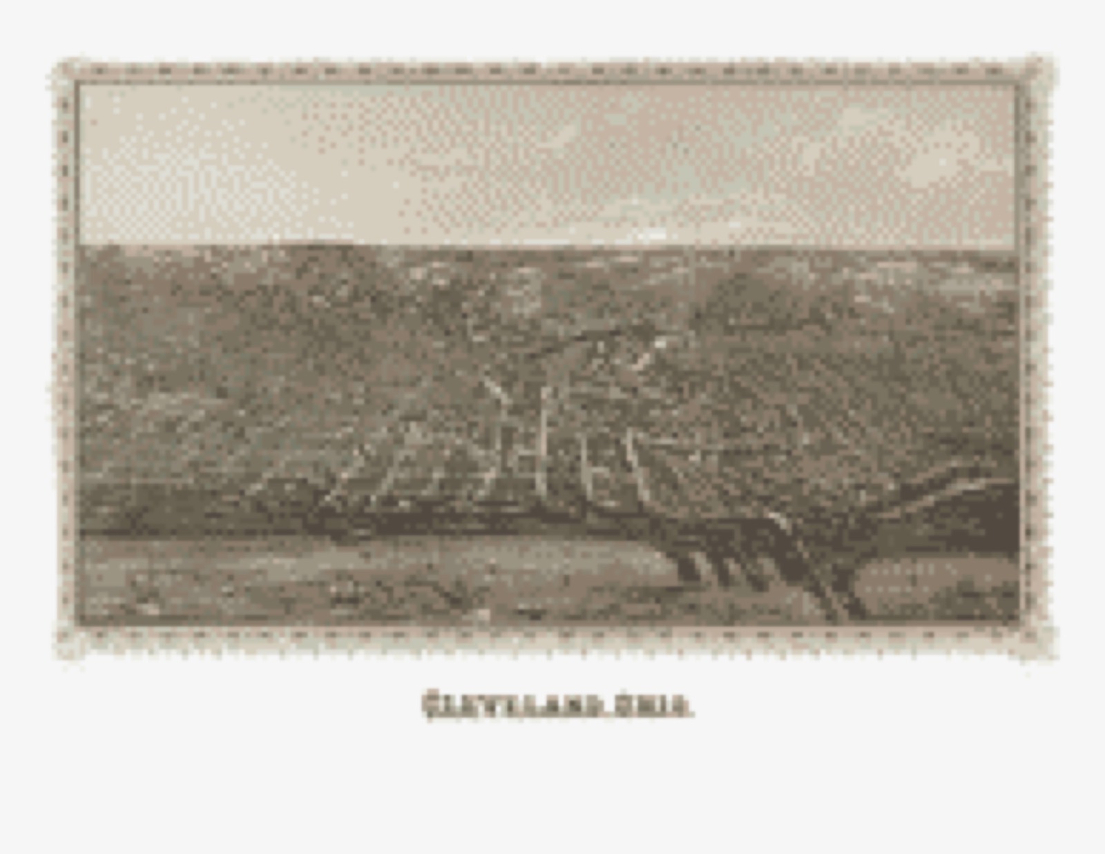 Bird's-eye view, 1887 - Cleveland, Ohio