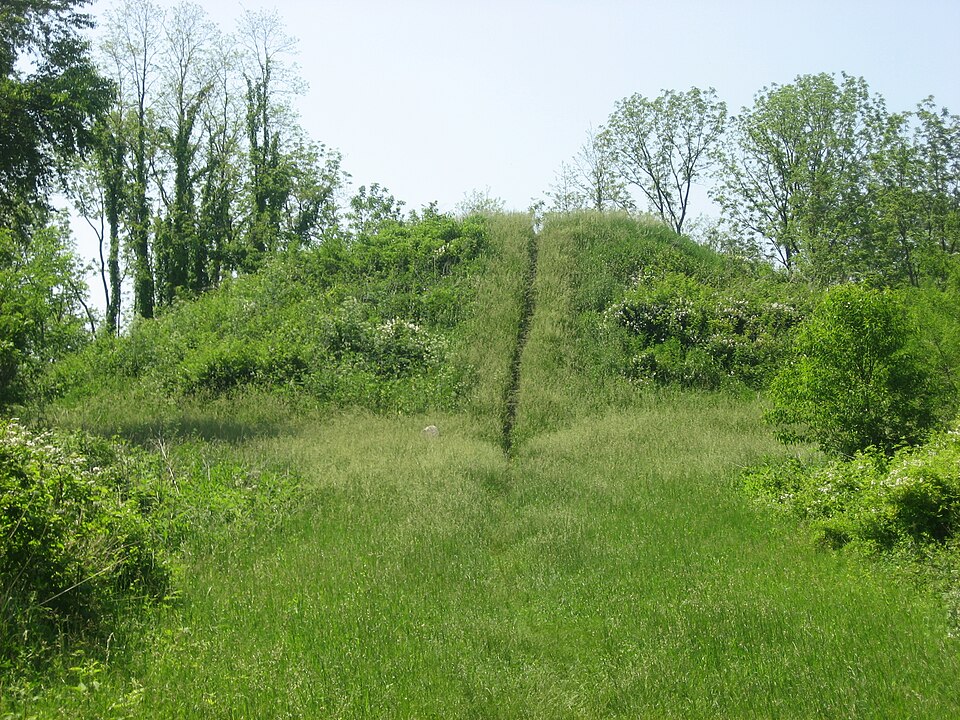 Photograph of Williamson Mound State Memorial
