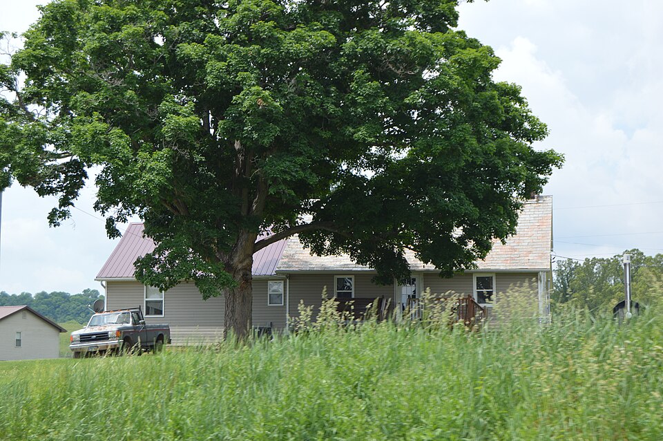 Photograph of Mason House