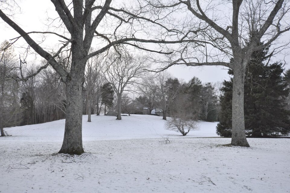 Photograph of Bramble Hill