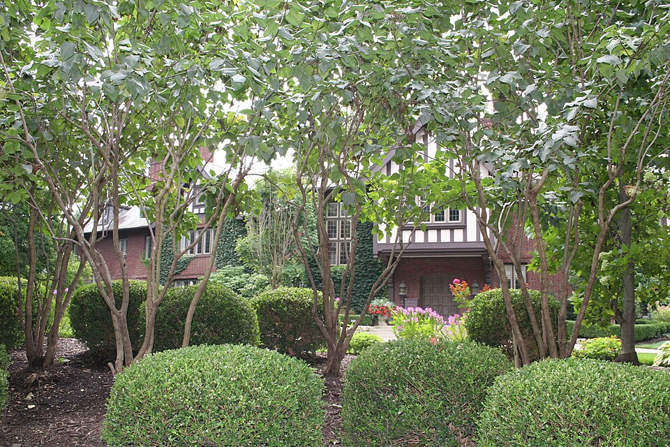 Photograph of Frederick A. Miller House