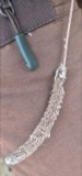 A photograph of the species Phleum pratense, not of this specimen