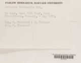 A photograph of the species Arthonia lecideella, not of this specimen