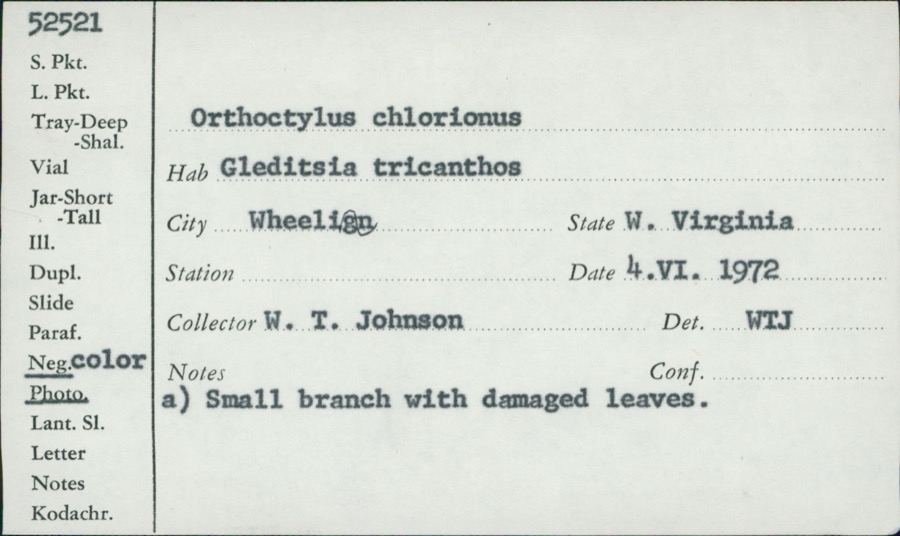Specimen of
