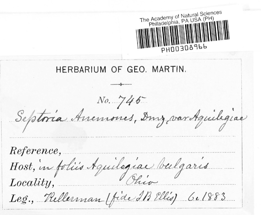 Specimen of Septoria anemones Desm.